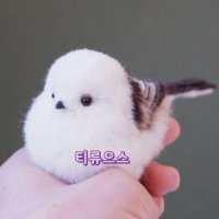 화이트 뱁새 흰 새 짹짹이 참새 인형 DIY 인테리어 장식 소품 티류으스