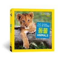 블루래빗 내셔널지오그래픽빅북첫지식백과 동물 P340087023