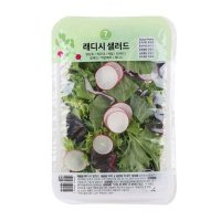 [Express] 래디시 샐러드 300G(팩)