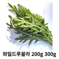 와일드루꼴라 베이비루꼴라 250g 500g 국내산 산지수확 산지직송 싱싱한 와일드루꼴라  1box