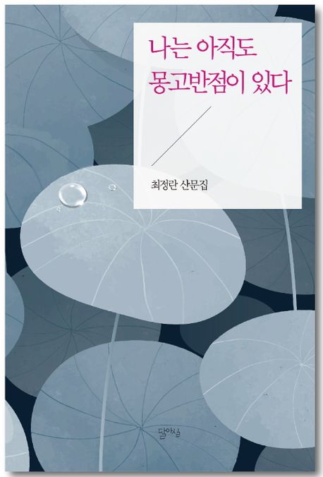 나는 아직도 몽고반점이 있다 (최정란 산문집)