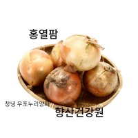 면역력강화 햇 양파즙  150포