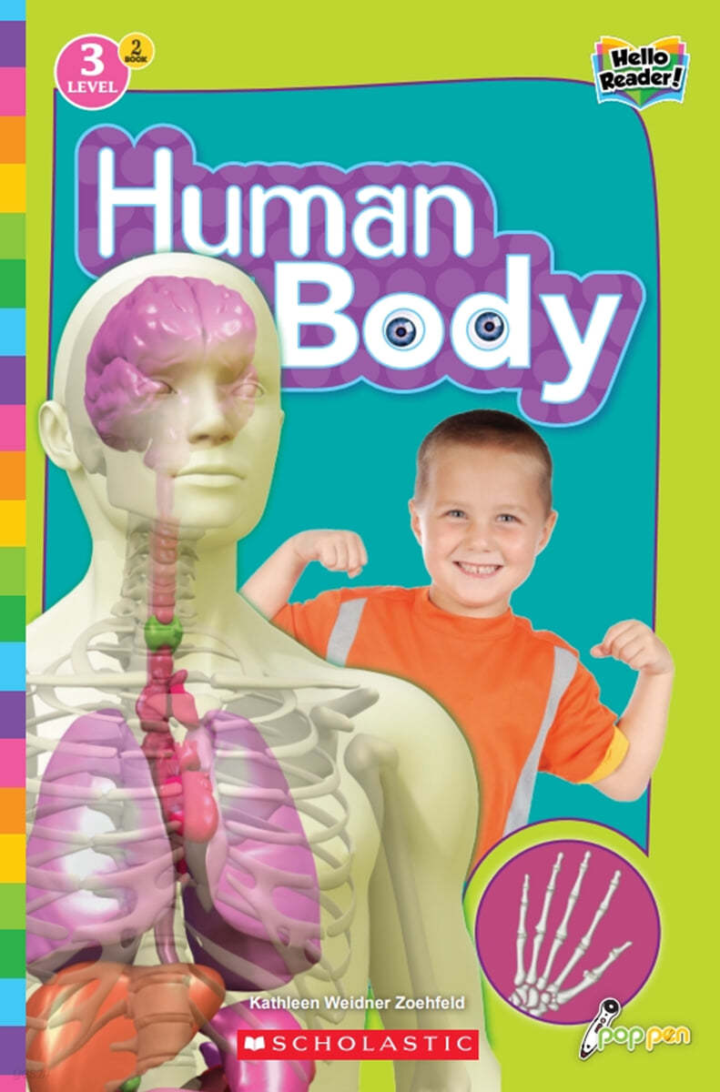 Human body 