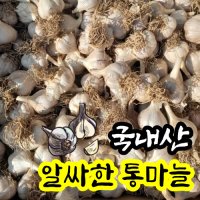 2023 수확 경북 고령 햇마늘 통마늘 한접 3kg 마늘 저장마늘 밭마늘 남도마늘 1접 국내산 국산 양념용 신선 산지직송 특품  3kg (크기혼합)