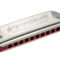 HOHNER GOLDEN MELODYB 골든 멜로디 10홀 하모니카