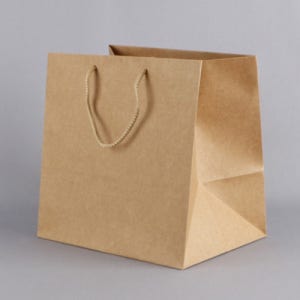 크라프트 도시락쇼핑백(50장) 30x23x30