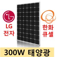 LG전자 250W 태양광모듈 태양광패널 엘지전자