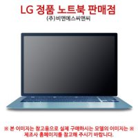 LG전자 LG그램 17Z90Q-GA56K SSD 500GB + SSD 512GB
