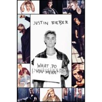 MAXI Poster 포스터 61x91 - 저스틴 비버 Justin bieber grid bravado 스위칭판넬