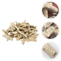 산호 뼈 물고기 풍경 액세서리 돌 장식 필터 Naturales 블링 3 -10cm 500g