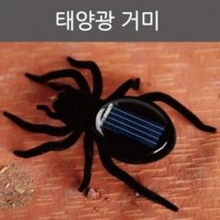 태양광 곤충로봇 진동 거미 초등과학 장난감 방과후