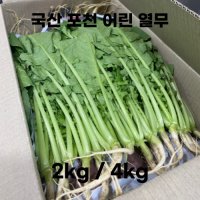 국산 포천 어린 열무 얼갈이 2kg 4kg 국내산 토종 열무순 아삭아삭 부드러운 열무우 싱싱한 생열무 오전수확 산지직송 솎음열무 김치 나물 여린열무  1개