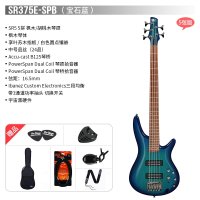 베이스기타 입문용 Ibanez 플래그십 4현 sr305e 새끼