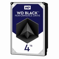 WD 7200RPM 256MB