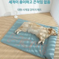 여름 대형견 쿨매트 냉감 쿨링 방석 강아지 고양이 여름침대