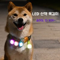 LED 강아지 목걸이 야간 산책 조명 펜던트 분실방지 교통사고방지  [기본]핑크