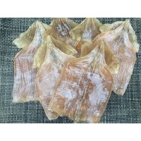 마른 오징어 몸통 500g 내외 1kg 내외 안주꺼리 특 (대)