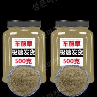 차전초 분말 500g 질경이 분말