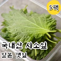 신선한 생 시소잎 일본깻잎 5팩 시소 차조기 차즈기 자소엽 소엽 잎 회깻잎 일식 식당 업소용 가정용 재료 스시 아오시소 잎채소  5팩(1팩당 30장내외)