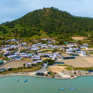 신안 퍼플섬과 섬티아고 1박2일 기차여행 패키지 [KTX-호텔숙박]