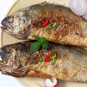 담백하고 부드러운 손질 백조기 1.5kg (5-8미내외)