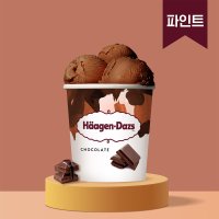 하겐다즈 초코 파인트