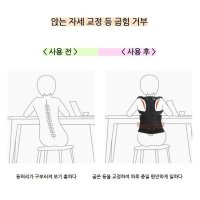 허리 디스크 보호장비 목 교정 척추 측만증 교정기