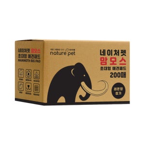 광고 메인 이미지