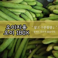 오이지용오이 48,52개입 피클용 백오이 백다다기