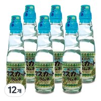 사이토 청포도 라무네 구슬 사이다  200ml  12개