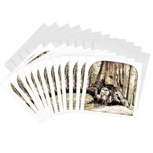 [아마존 공식]3dRose 빈티지 와와와나 나무 요세미티 - 인사말 카드, 15.2 x 15.2 cm, 12개 세트 (gc_8513_2)