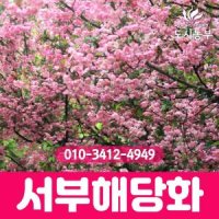 서부해당화 서부해당화 1 5m 1 8m 개화주 1주 나무 묘목 도시농부TI