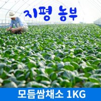 [물 맑은 양평] 지평농부 모듬쌈채소 1kg