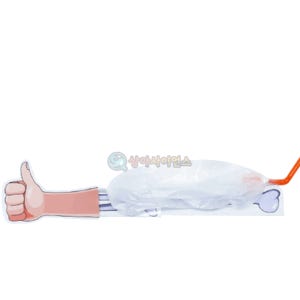 SA 뼈와 근육모형(1인용 포장)