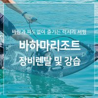 [다온] 청평 마코보드 제트서프 웨이크서핑 보드 렌탈권 1시간