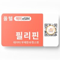 필리핀 eSIM 무제한 핫스팟 전지역 세부 바기오 배낭 자유 패키지 여행 유심 이심