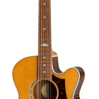 EPIPHONE EJ-200 쿠페 VNT