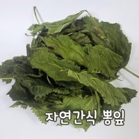 햄스터 자연주의 간식 국산 건조 뽕잎 20g 에이펫