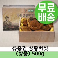 국내산상황버섯 뽕나무 베타글루칸 장수상황버섯 500g