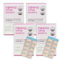 건풍바이오 고투카원(GO2KA1) 키토올리고당 혈당케어 4박스