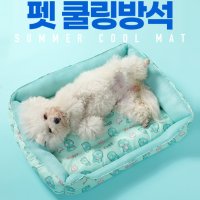 요즘인기 아이스 애견 매트 방석 강아지 고양이 쿨링 팩 냉 쿨