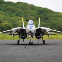 Freewing RC 비행기 F-14 대형 듀얼 제트 모델 항공기