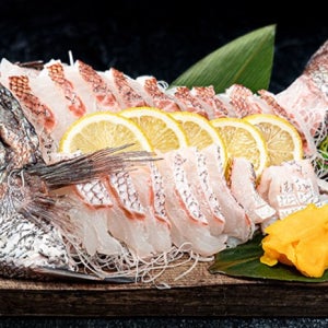 고소한 껍질을 살려낸 참돔회 필렛 400g (2-3인분)