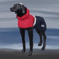루카펫우비 강아지 대형견 우비 우리집댕댕이 레인코트 비옷
