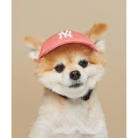 MLB PET 루키 볼캡 NY CORAL 102156