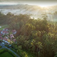 [인도네시아 발리 우붓 리조트] 데다리 리조트 우붓(Dedary Resort Ubud by Ini Vie Hospitality)/4성급