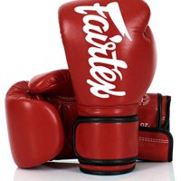 FAIRTEX 페어텍스 복싱 글러브 스파링 14 oz