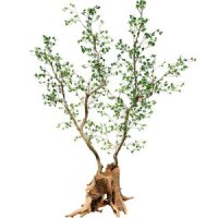 인테리어조화나무 대형 인조화분 식물 장식 북유럽