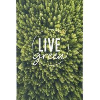 [부벨] LIVE GREEN  (특대형수건 175x98cm) 친환경 프리미엄 비치타월 S20T000010