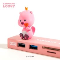 잔망루피 5in1 USB 멀티 허브 리더기